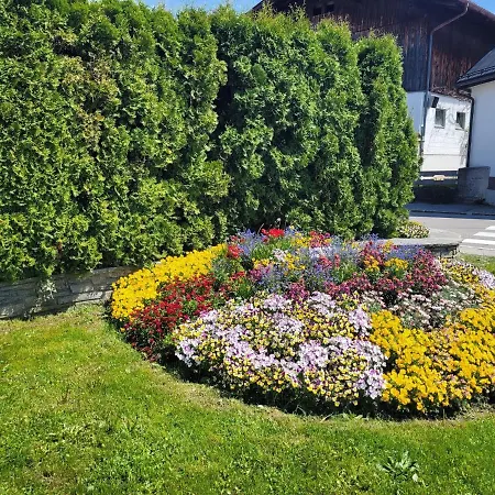 Schatz Apartment Breitenwang