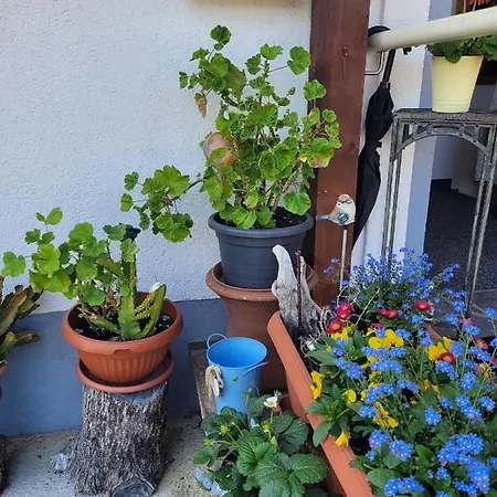 Schatz Apartment Breitenwang