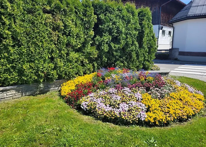 Schatz Appartement Breitenwang