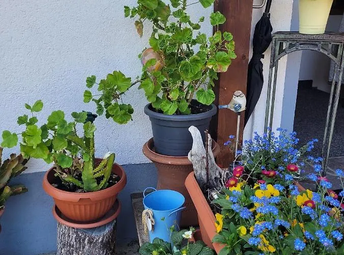 Schatz Appartement Breitenwang