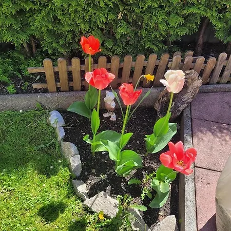 Apartament Schatz *